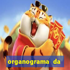 organograma da cacau show